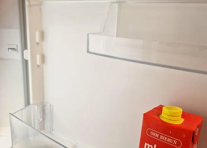 Renta Citywalk Flat Daire Kaunas